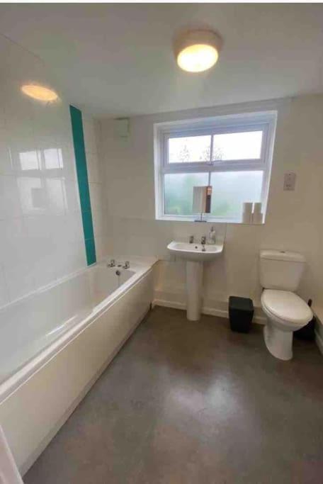 Apartment One Bedroom With Garden. Norwich